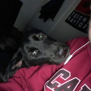 Meet your Posher, Zach